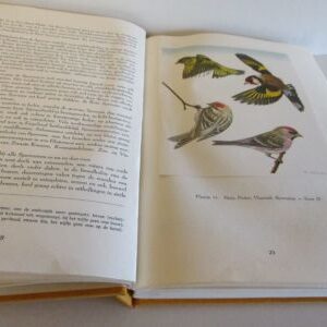 Zangvogels, uitgave Artis-Historia, 1956, zonder stofwikkel