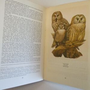 Nestbouwende vogels, deel II, getekende prenten