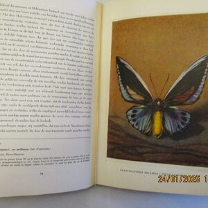 Tropische vlinders, editie Artis-Historia, geen stofwikkel, 1955
