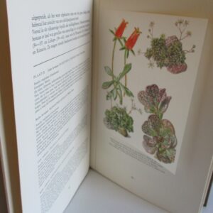 Succulenten (Sapplanten), editie Artis-Historia, 1958, geen stofwikkel